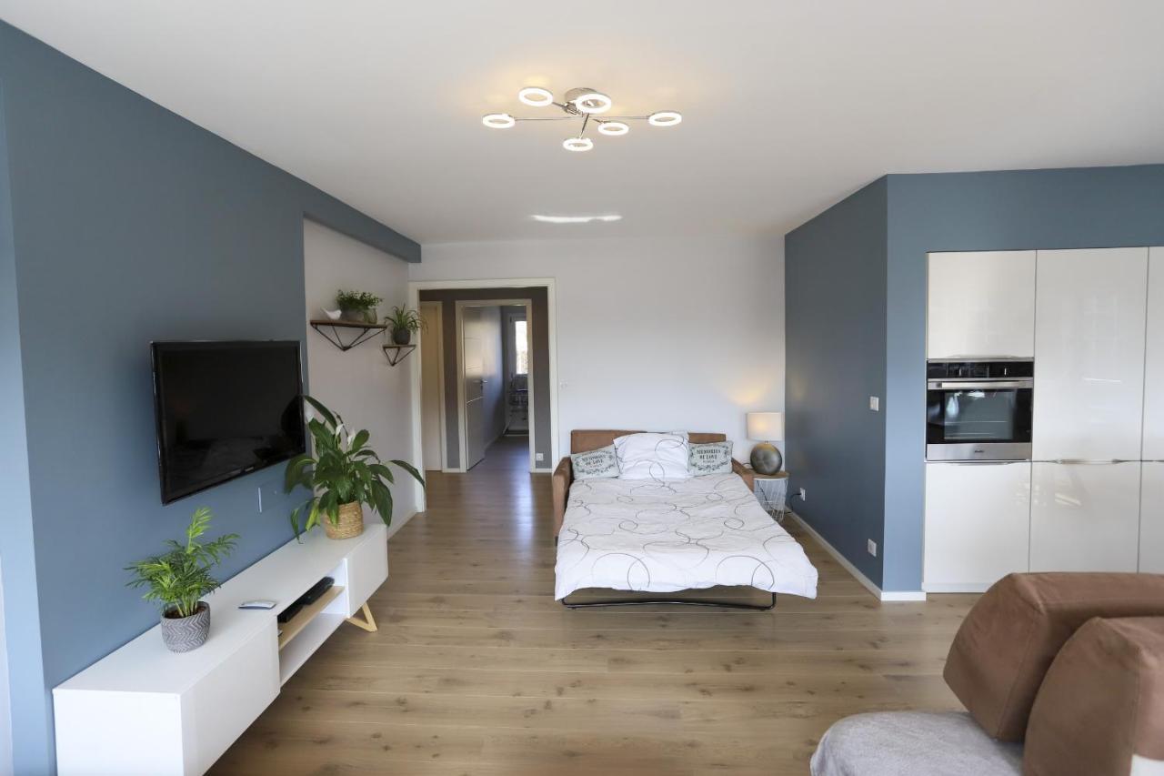 Azur Bleu 4 Etoiles Annecy Centre-Ville Et Lac Lumineux Екстериор снимка